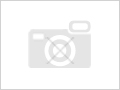 FIAT Ducato 33 2.3 MJT 130CV PM-TA Furgone SX